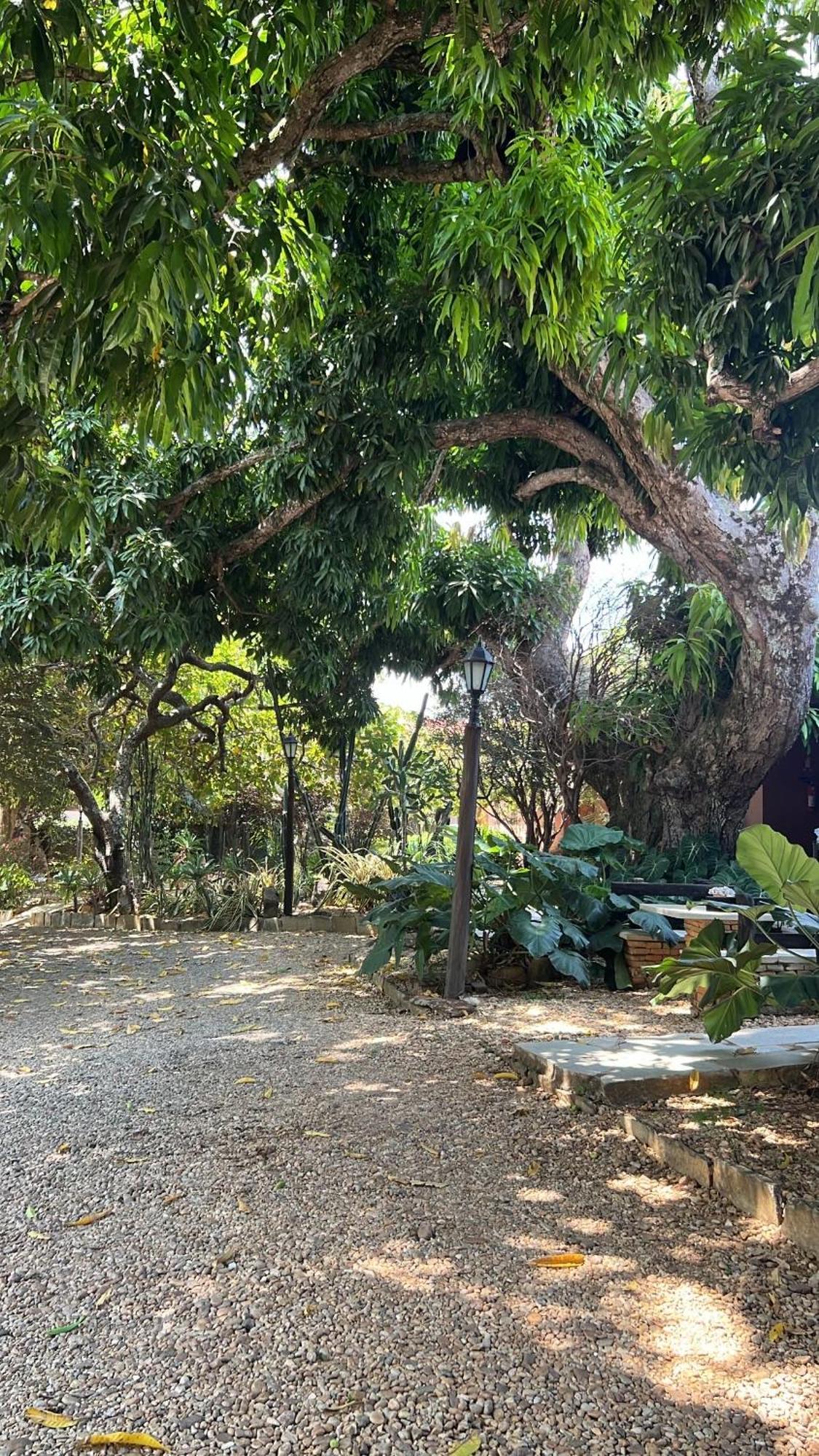 Pousada Casagrande Pirenópolis Exteriör bild